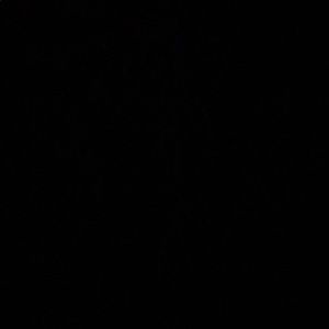 Meet your Posher, Alli